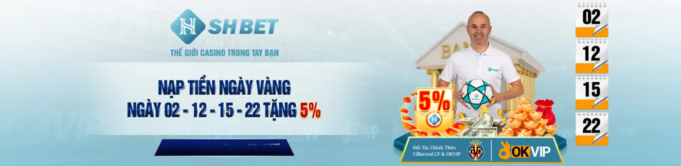 banner shbet